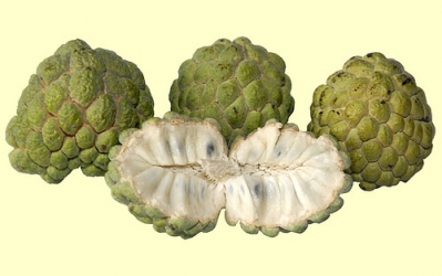 custard apple